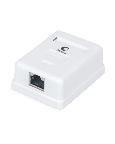 WS-8P8C-Cat.5e-SH-1 (7485c): Розетка RJ-45 в Благовещенске