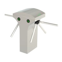 CAME STILE 600 (001PSMM602D-01). Турникет-трипод моторизованный двухпроходный. CAME