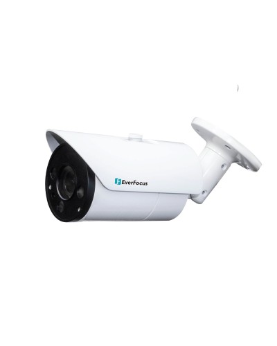 EZN-268V. Видеокамера IP купольная. EverFocus в Благовещенске