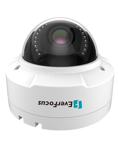 EHN-1250. Видеокамера IP купольная. EverFocus в Благовещенске