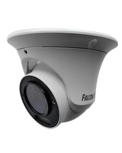 FE-IPC-DV5-40pa. Видеокамера IP купольная. Falcon EYE в Благовещенске