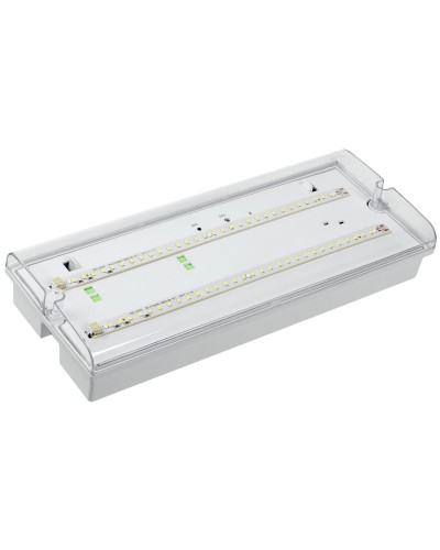 Светильник аварийный ДПА 5042-1 1ч IP65 LIGHTING (LDPA0-5042-1-65-K01). Светильник аварийный универсальный. IEK в Благовещенске