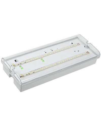 Светильник аварийный ДПА 5042-3 3ч IP65 LIGHTING (LDPA0-5042-3-65-K01). Светильник аварийный универсальный. IEK в Благовещенске