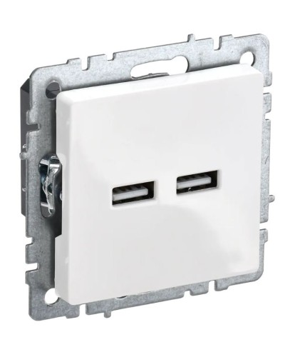 Розетка USB A+A 3,1А РЮ10-1-БрБ белый BRITE (BR-U21-D31-K01). Розетка USB. IEK в Благовещенске
