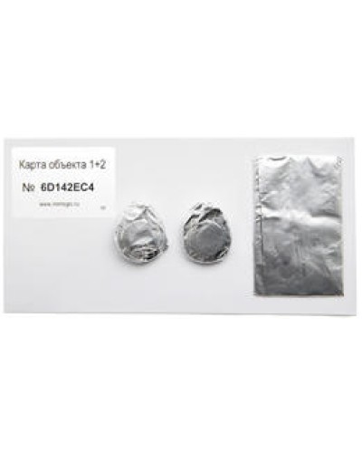 Карта объекта 1+2. Проксимити карта. IronLogic в Благовещенске