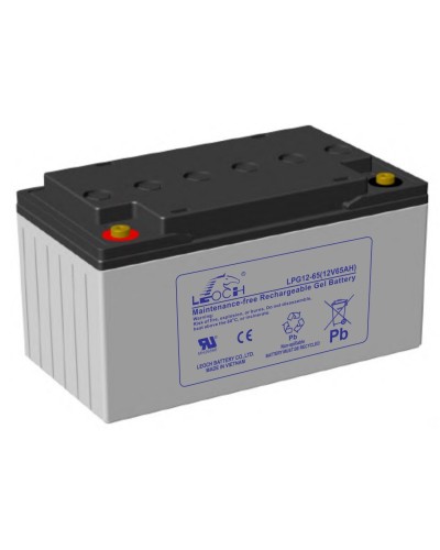 LEOCH LPG 12-65. Аккумулятор герметичный свинцово-кислотный. LEOCH в Благовещенске