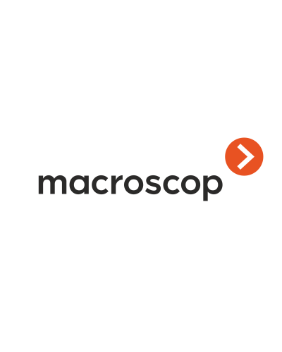 Расширение с LS до ST. Программное обеспечение (опция). MACROSCOP в Благовещенске