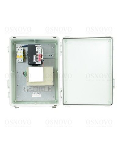 SW-80802-WL(port 90W). Коммутатор 10-портовый. OSNOVO в Благовещенске