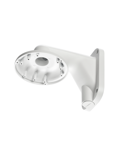 RVi-1BWM-5 white. Кронштейн настенный. RVi в Благовещенске