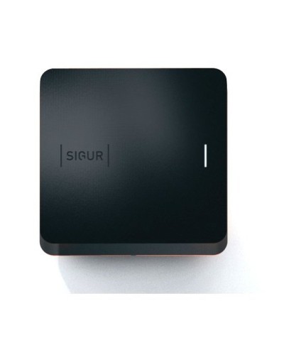 Sigur MR100 Multi. Считыватель. SIGUR в Благовещенске
