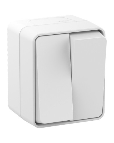 AtlasDesign PROFI54 выключатель 2-клавишный, открытой установки, белый (ATN540151). Выключатель. Systeme Electric в Благовещенске
