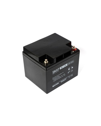 SKAT SB 1240 (2538). Аккумулятор герметичный свинцово-кислотный. Бастион в Благовещенске