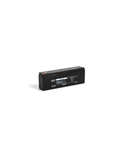 SKAT SB 12022 (2539). Аккумулятор герметичный свинцово-кислотный. Бастион в Благовещенске