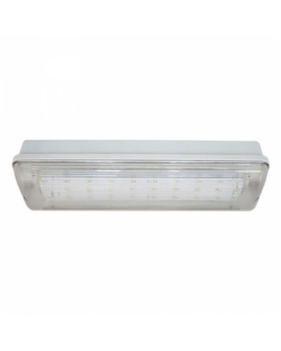 SL-223-30LED1.8 исп.1 IP54. Светильник аварийного освещения. ИП Раченков А.В. в Благовещенске