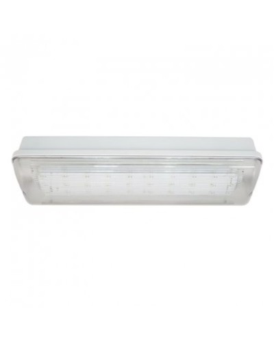 SL-223-30LED1.8 исп. 1, IP65. Светильник аварийного освещения. ИП Раченков А.В. в Благовещенске