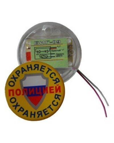 БИГ-09 н.р.. Индикатор прибытия наряда. ПЭАП (Альфатех-Центр) в Благовещенске