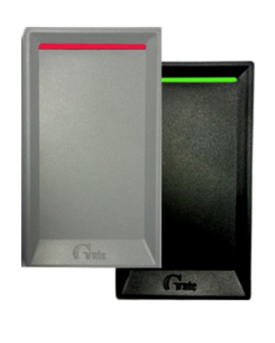 Gate-Reader-MF. Считыватель. Равелин в Благовещенске