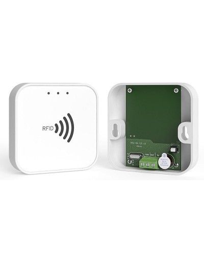 RFID-TM. Считыватель RFID. Ритм в Благовещенске