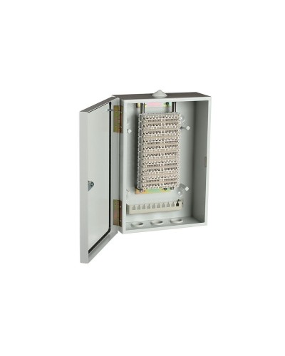 ШРН-В/100-Р (120908-00122). Шкаф ШРН-В/100-Р, плинт ПВТ-10Р-5е. ССД (Связьстройдеталь) в Благовещенске