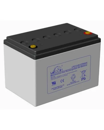 LEOCH LPG 12-60. Аккумулятор герметичный свинцово-кислотный. LEOCH в Благовещенске