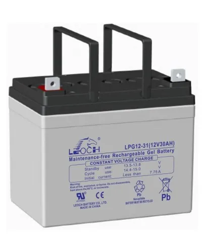 LEOCH LPG 12-31. Аккумулятор герметичный свинцово-кислотный. LEOCH в Благовещенске