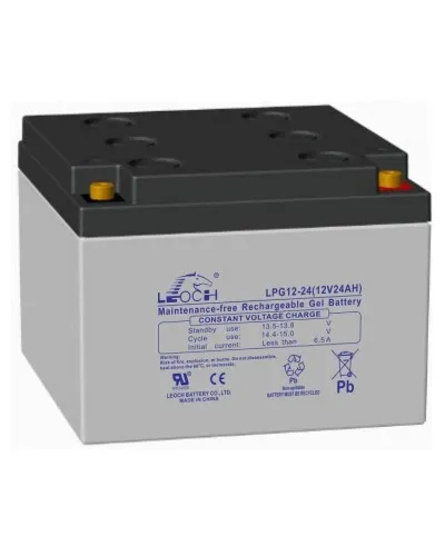 LEOCH LPG 12-24. Аккумулятор герметичный свинцово-кислотный. LEOCH в Благовещенске