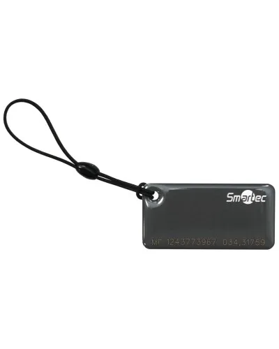 ST-PT015MF-GR. Брелок. Smartec в Благовещенске