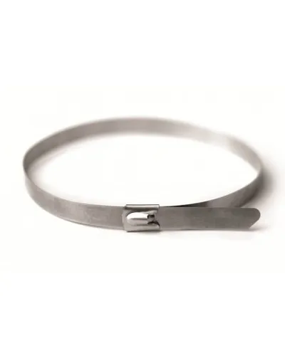 Хомут из нержавеющей стали AISI 304 4,6х240 (50 шт) (27405): Хомут из нержавеющей стали в Благовещенске