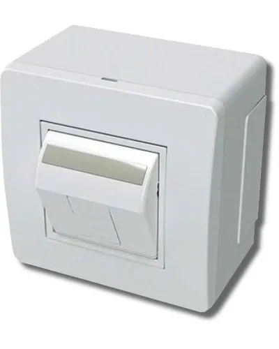 Коробка в сборе с 1 розеткой RJ45, кат.5е, белая (10665): Коробка в сборе в Благовещенске