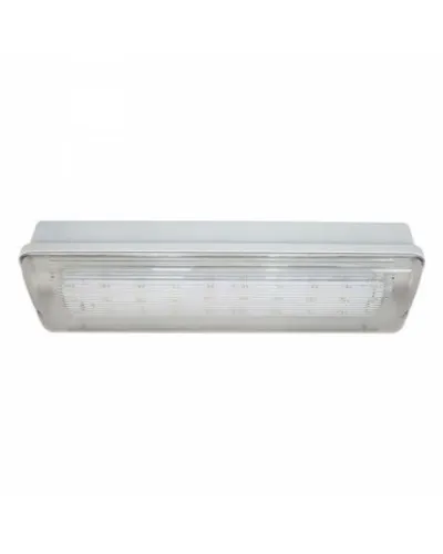 SL-213-30LED1.8 исп. 1 IP65. Светильник аварийного освещения. ИП Раченков А.В. в Благовещенске