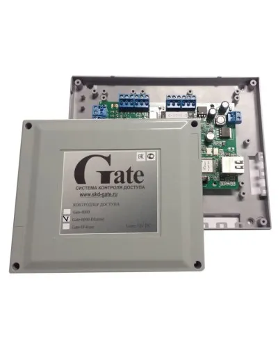 Gate-8000 Ethernet. Сетевой контроллер. Равелин в Благовещенске