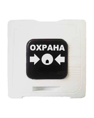 ИР 513-10 ОХРАНА (белый). Элемент дистанционного управления. Рубеж в Благовещенске